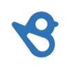 BirdEye Logo